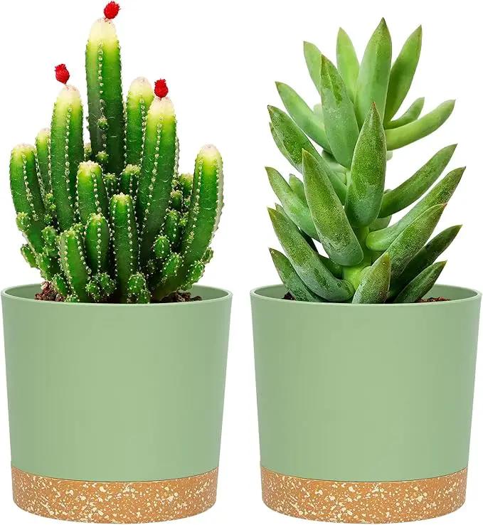 QCQHDU 5 inch Plant Pot, 2 Pack Planters for Indoor Plants with Drainage Holes & Saucer, Outdoor Flower Pots Home Garden Modern Decor by GreenHaven Gardens