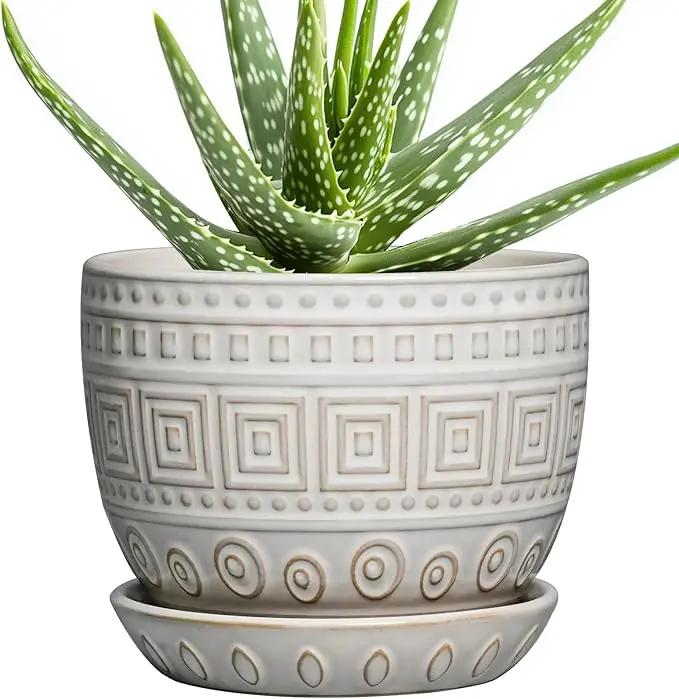 G EPGardening Ceramic Pots for Plants - 5 Inch Plant Pot Indoor with Drainage Hole and Saucer, Outdoor Flower Pot, Decorative Round Planter for Succulent Orchid Snake Plants, White by GreenHaven Gardens