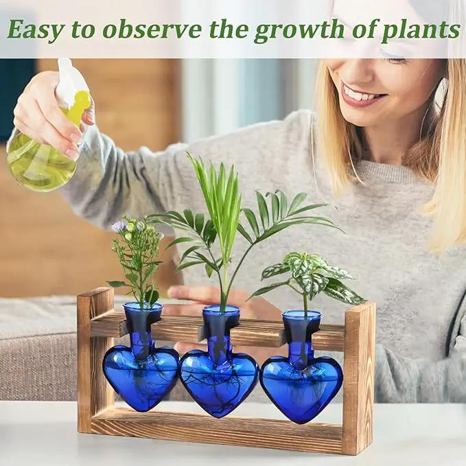 Lifecapido Heart Shaped Propagation Stations, Plant Terrarium with Wooden Stand, Plant Propagation Station for Hydroponics Plants Office Garden Home Decor, Gifts for Women Plant Lover (3 Vases, Blue) by GreenHaven Gardens