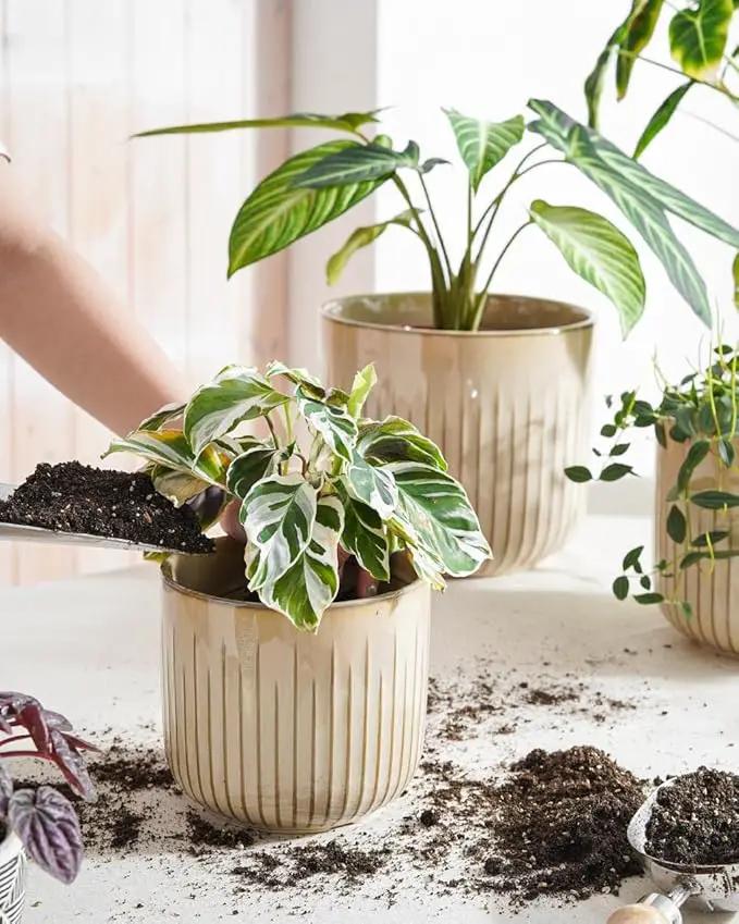 LE TAUCI Ceramic Planters, 8.3+6.9+5.7 Inch Plant Pots for Indoor Plants, Set of 3 Flower Pots with Drainage Holes, Round Planters Pot for Indoor House Plants, Reactive Glaze Cloud Cream
