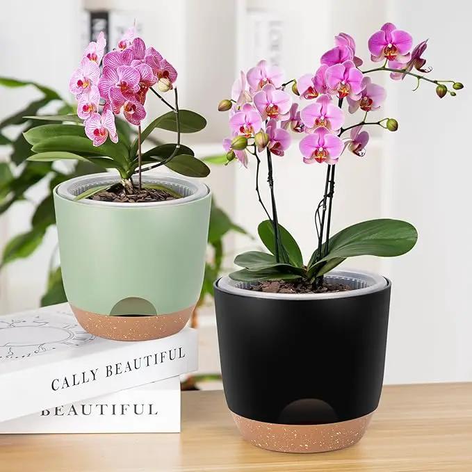 Self Watering Orchid Pots for Indoor Plants,5.8 Inch Macetas para Orqudeas,Flower Pots for Indoor Plants with Holes(Black) by GreenHaven Gardens