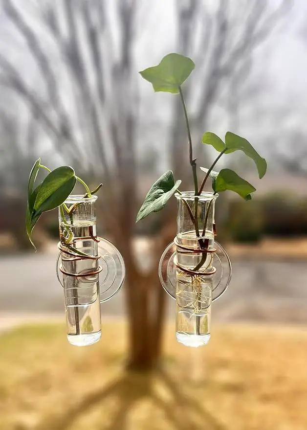 The Little Window Propagator | Window Propagation Station with Removable Glass Tubes, Indoor Plant Clippings, Cut Flowers, Herbs, Succulents | Home Decor | Plant Lover Gift (2) by GreenHaven Gardens