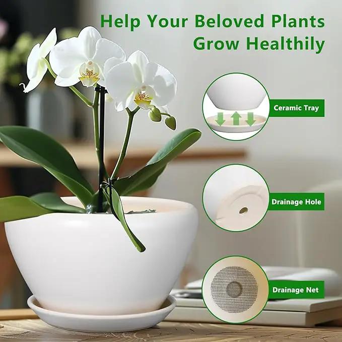 Ceramic Planter - 9 Inch Plant Pot Indoor with Drainage Hole and Saucer for Outdoor Plants Mid-Century Round Planter Modern Flower Pot for House Garden White by GreenHaven Gardens
