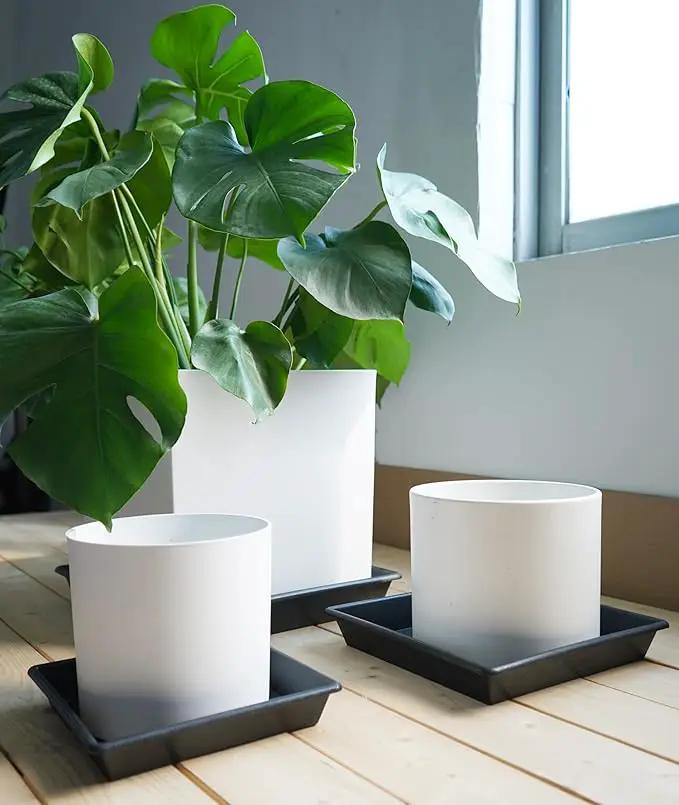 Square Plant Saucer 14 Inch 2 Pack 8 12 14 16 18 20 Plant Trays for Pots Heavy Duty Plastic Plant Saucers for Indoors Outdoors, Flower Pot Plant Drip, Extra Lager No Holes Plant Tray by GreenHaven Gardens