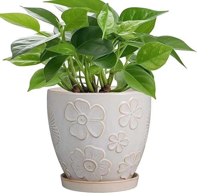 6 Inch Plant Pot with Drainage Hole and Saucer Ceramic Planter for Indoor Plant Flower Pot for Orchid Succulents Plants White by GreenHaven Gardens