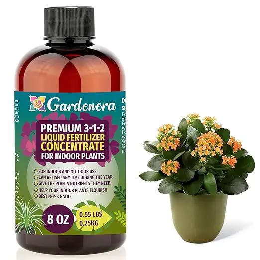 Premium Liquid Indoor Plants Fertilizer - 3-1-2 Concentrate for Indoor Plants and Flowers by Gardenera | Organic Plant Food for Indoor Plants - 8oz by GreenHaven Gardens