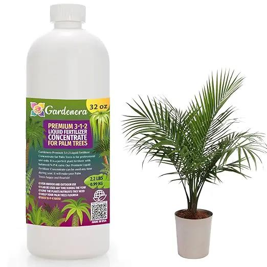 Premium Liquid Palm Tree Plant Fertilizer - 3-1-2 Concentrate for Indoor Plants and Flowers by Gardenera | Organic Plant Food for Palm Trees - 32oz by GreenHaven Gardens