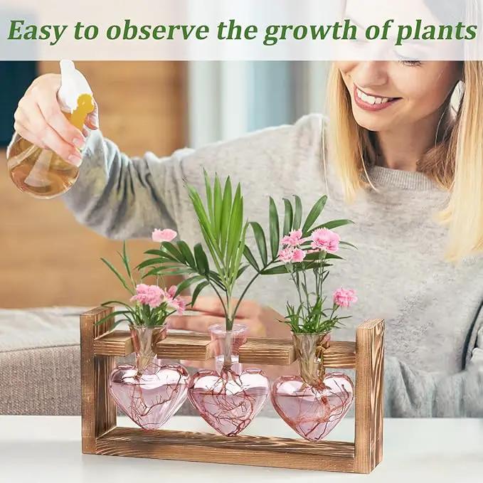 Lifecapido Heart Shaped Propagation Stations, Plant Terrarium with Wooden Stand, Plant Propagation Station for Hydroponics Plants Office Garden Home Decor, Gifts for Women Plant Lover (3 Vases, Pink) by GreenHaven Gardens