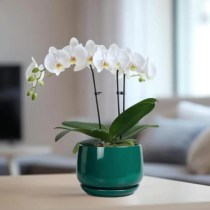 G EPGardening 6 Inch Plant Pot - Ceramic Planter for Indoor Plants, Round Planter with Drainage and Ceramic Tray, Flower Pots for Outdoor, Modern House Decor, Gift for Men Women, Green by GreenHaven Gardens