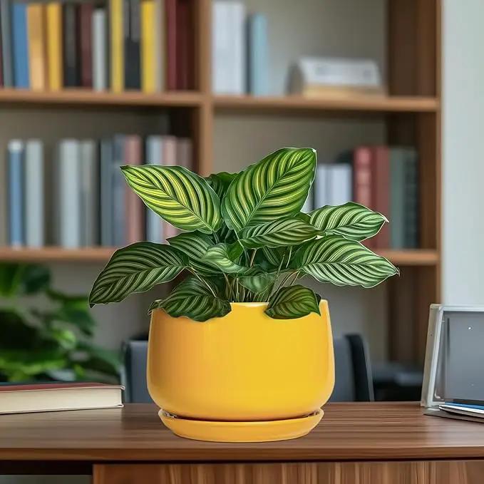 G EPGardening Ceramic Pots for Plants - 7 Inch Plant Pot with Drainage Hole and Saucer, Modern Ceramic Planter for Indoor Outdoor, Round Flower Planter, Gifts for Plants Lovers, Home Decor, Yellow by GreenHaven Gardens