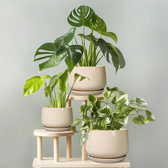 G EPGardening Ceramic Plant Pots - 9 Inch Round Planter, Ceramic Flower Pots with Drainage and Saucer, Modern Indoor Outdoor Planter, Room Decor, Home Gifts, Beige by GreenHaven Gardens