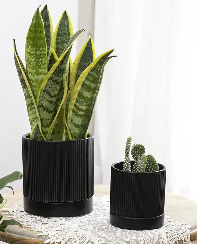 LaDoVita 3 Pack Ceramic Plant Pots 6/5/4 inch, Flowerpot for Indoor Plants with Drainage Holes and Tray, Outdoor Garden Planters, Modern Decorative for Home, Black Vertical Stripes by GreenHaven Gardens