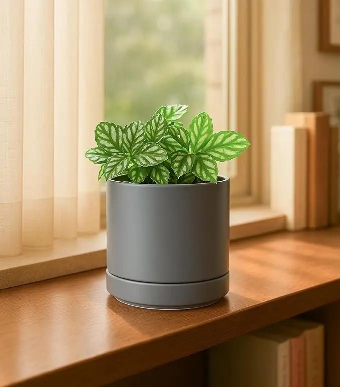 D'vine Dev 3.5 Inch & 4.7 Inch Ceramic Planter Pots for Plants with Drainage Hole and Saucer, X-Small Plant Pots Set, Speckled Grey, 94-G-XS-3 by GreenHaven Gardens