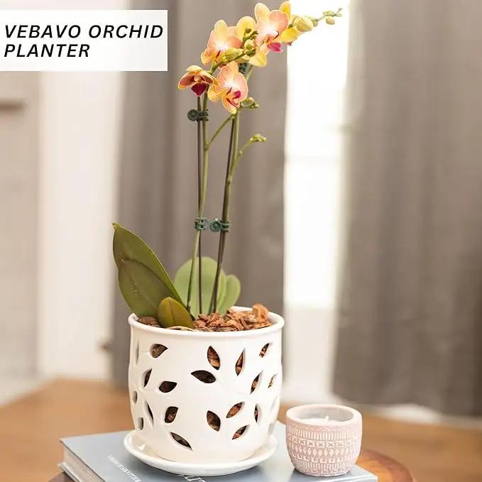 Orchid Pot with Holes & Saucer Ceramic 5.25 in. Indoor or Outdoor Large Pot for Orchid Care & Root Health with Precise Aeration & Drainage – Durable for Repotting or New Plants by GreenHaven Gardens