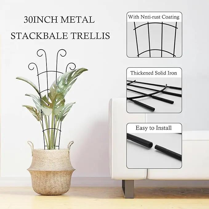 30 Inch Plant Trellis Indoor for Potted Plants 3 Pack Indoor Plant Trellis for Climbing Plants Stackable Houseplant Trellis Metal Garden Pot Trellis for Vine Ivy Support(30inch Black) by GreenHaven Gardens