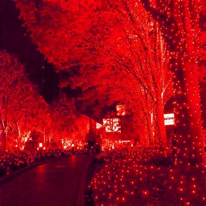 HISHINY LED Red Christmas Net Lights Outdoor,5ftx5ft 100LED Green Wire, Connectable Indoor Outdoor Bush Mesh Net Lights String for Halloween Christmas Party,Shrub,Yard,Tree（Red） by GreenHaven Gardens