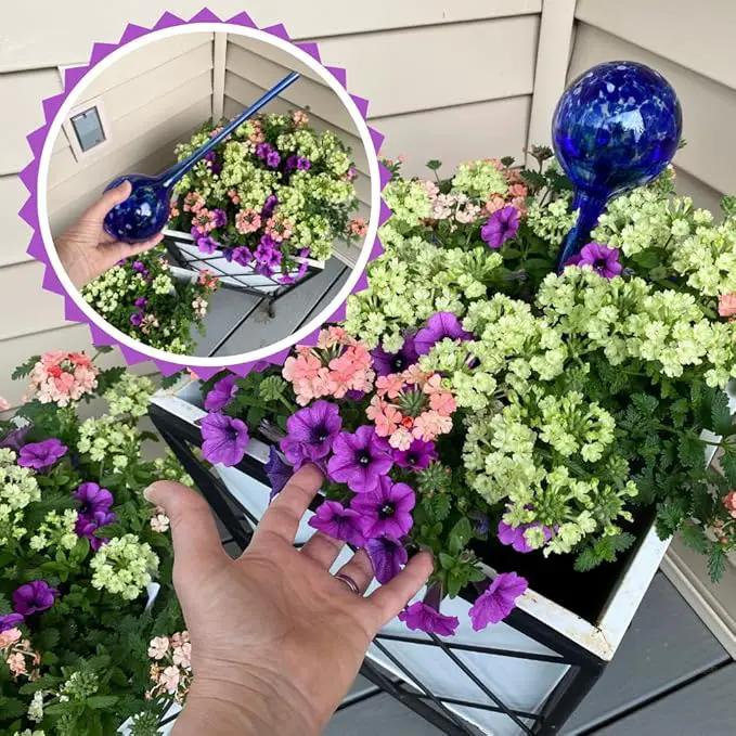 Evelots Plant Watering Globes/Bulbs (2 Pack) - Extra Long 14 Inches - Great for Big Plants - Hand Blown Glass - Automatic Water Irrigation System - Use Indoor/Outdoor - Leave Your Home Worry Free by GreenHaven Gardens