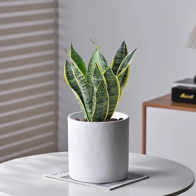 8 Inch Pot for Plants, Large Cement Planter with Drainage Hole, Mid-Century Modern Concrete Flower Pots for Home Decor, Office & Outdoor (White) by GreenHaven Gardens