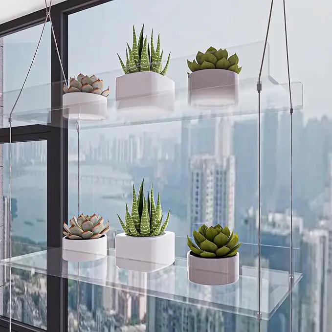 Hanging Clear Window Plant Shelves, Height Adjustable Acrylic Window Plant Hanger, 3-Tier Sturdy Window Sill Plant Shelf for Indoor Window Grow Herbs, Succulents, Flower by GreenHaven Gardens