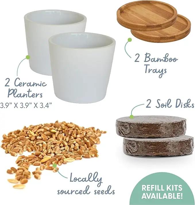 The Cat Ladies Cat Grass Growing kit with Organic Cat Grass Seed, Soil and Two Ceramic Planters with Bamboo Trays Natural Hairball Remedy by GreenHaven Gardens