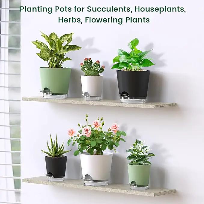 6 inch Self Watering Pots for Indoor Outdoor Plants, 3 Pack Flower Plant Pots with Drainage Holes and Clear Reservoirs, Visible Water Level, Plastic Planters with Wicking Rope, White by GreenHaven Gardens