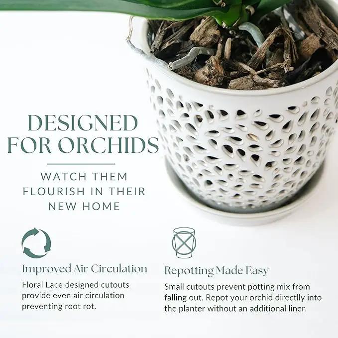 Elegant Orchid Pot with Holes, Large 6.5 inch Premium Porcelain Ceramic Orchid Pot for Repotting, Durable Ceramic Planter with Removable Saucer for Easy Drain, Planter Gifts for Moms by GreenHaven Gardens