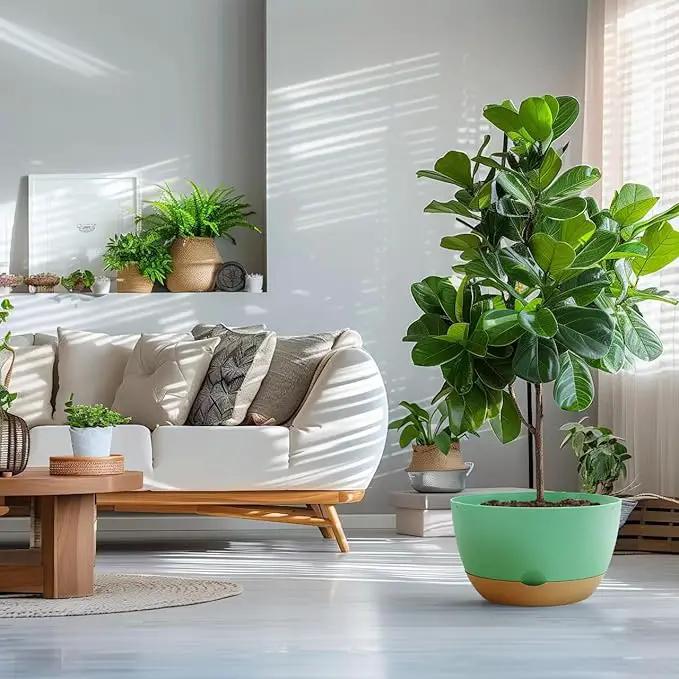 8/10/12 Inch Pots for Indoor Plants, Large Self Watering Planters with Drainage and Saucers, Plastic Outdoor Flower Pot, Set of 3, Green by GreenHaven Gardens