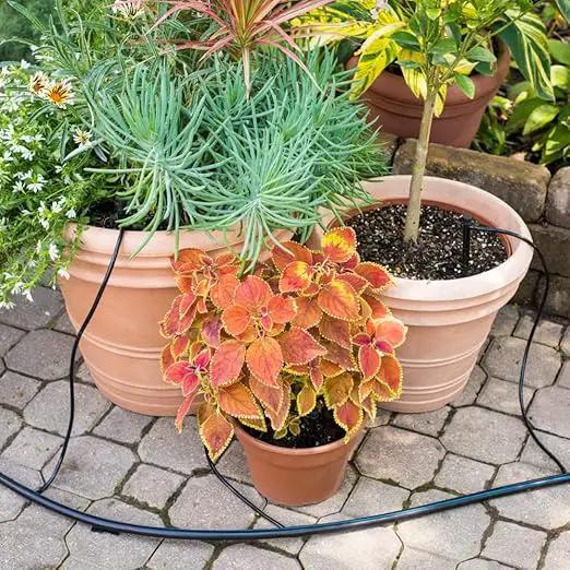 Spring Hill Nurseries - The Dripster! Irrigation Kit - Remove The Worry of Getting The Right Amount of Water to Your Plants! by GreenHaven Gardens
