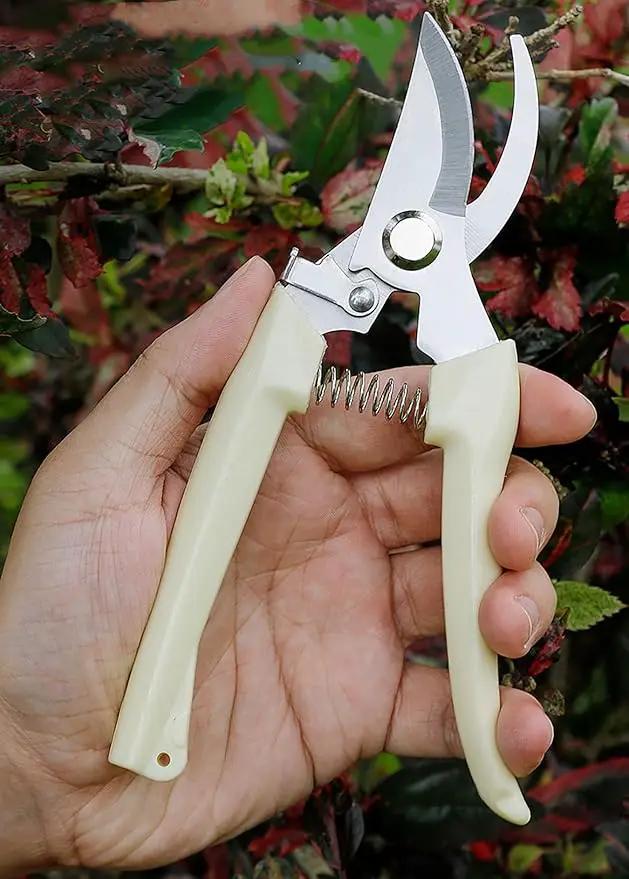 2PCS Garden Flower Shears Pruning Shears 6.9 inches Scissors Heavy Duty Plant Scissors for Cutting Flowers, Trimming Plants, Bonsai, Fruits Picking (White Handle 2pcs) by GreenHaven Gardens