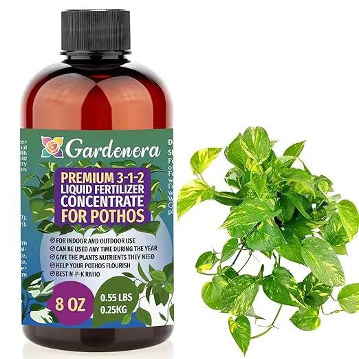 Premium Liquid POTHOS Plant Fertilizer - 3-1-2 Concentrate for Indoor Plants and Flowers by Gardenera | Organic Plant Food for Pothos Plants - 8oz by GreenHaven Gardens
