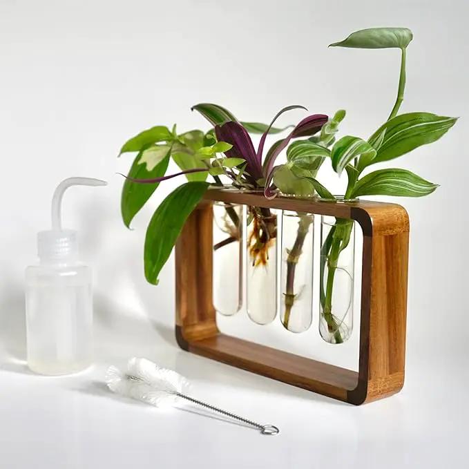 Source & Plot - Plant Propagation Station - Acacia Wood Stand 4 Glass Test Tube Hydroponic Tabletop Rooting Terrarium Planter Rack Home and Office Decor - Last Batch by GreenHaven Gardens