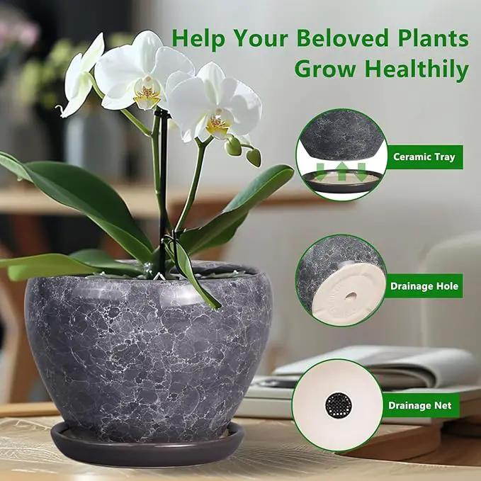 8 Inch Plant Pot - Ceramic Planter Pot with Drainage Hole and Saucer, Glaze Garden Pot Modern Flower Pot for Indoor Plants, Gray by GreenHaven Gardens