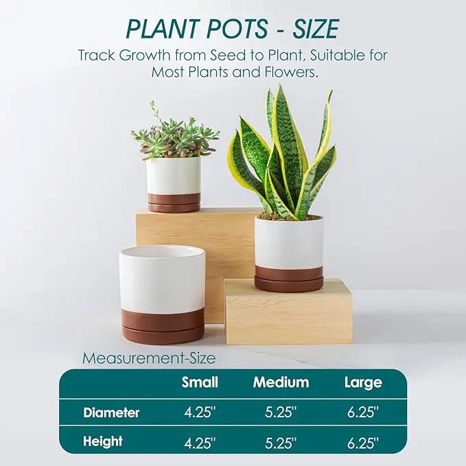 vancasso Ceramic Plant Pots, 3 Piece Planters for Indoor Plants, 4.25+5.25+6.25 Inch Flower Pots with Drainage, Plant Pots Indoor for Succulent, Pothos, Snake Plant and Money Tree, Etc (Khaki) by GreenHaven Gardens