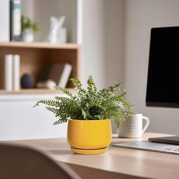 G EPGardening 4 Inch Ceramic Planter - Succulent Pots for Plants Indoor Outdoor, Small Plant Pots with Drainage Hole & Saucer, Round Planter, Modern Flower Pot, Home Decor, Plant Lover Gift, Yellow by GreenHaven Gardens