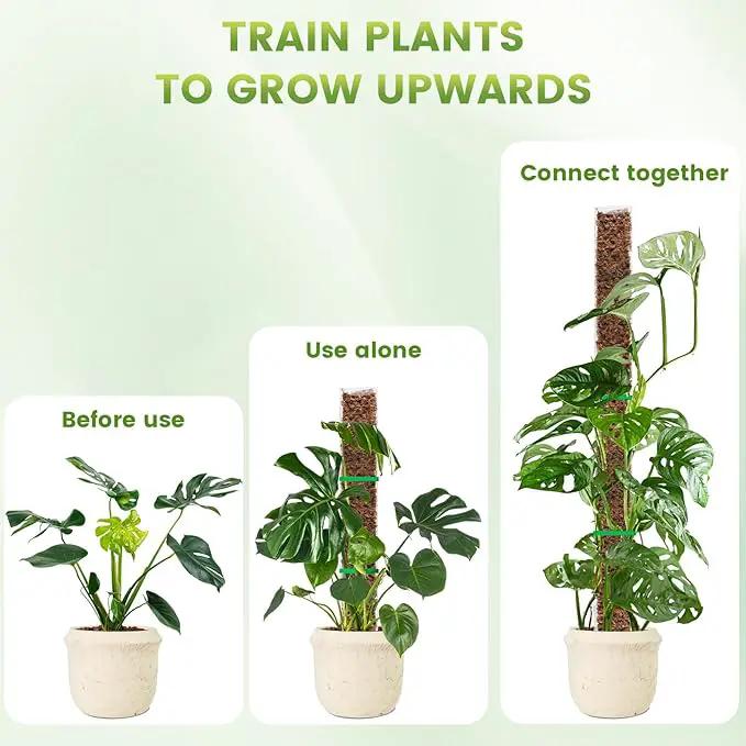 EOX 4 Pcs 24 Inch Plastic Moss Pole for Monstera, Large D Shaped Poles for Climbing Plants Work with Sphagnum Moss, 90 Inch Plant Stake Set of 4, Garden Ties by GreenHaven Gardens