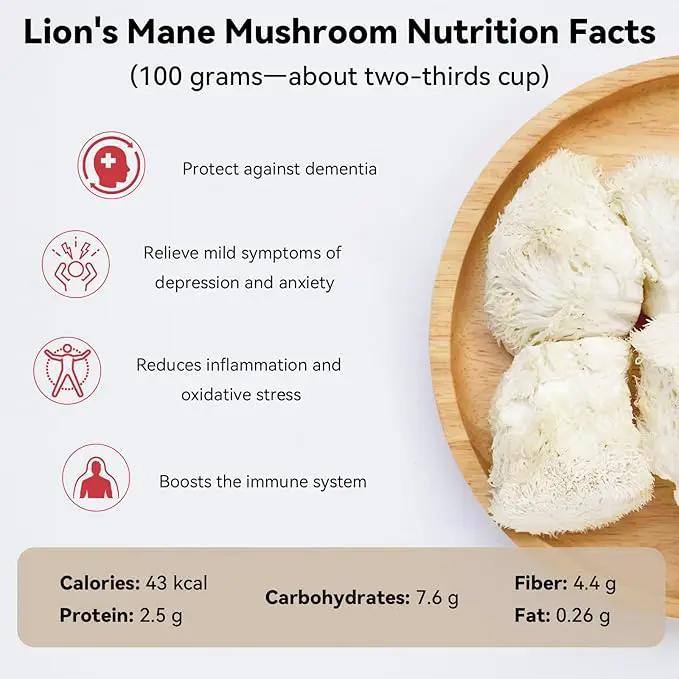 inbloom Large Organic Lion's Mane Mushroom Growing Kit (4 lbs) – Double-Side Growth, Edible Non-GMO Mushroom Kit, Beginner-Friendly, Harvest Mushrooms at Home, Indoor Gardening Gift for Adults by GreenHaven Gardens