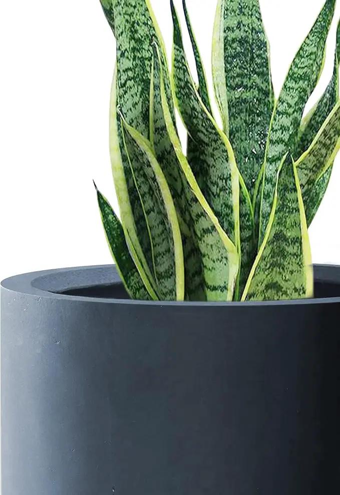 Kante 9.8" Dia Round Concrete Planter, Modern Style Large Cylindrical Plant Pot with Drainage Hole and Rubber Plug for Indoor Outdoor Patio, Charcoal by GreenHaven Gardens