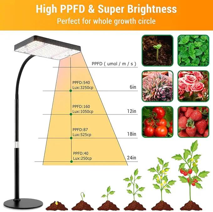 FECiDA Desk Grow Lights for Indoor Plants, Table Top Grow Light UV-IR Full Spectrum, 2000 Lumen LED Bonsai Houseplant Growing Lamp with On/Off Switch, 16"-24" Height Adjustable by GreenHaven Gardens