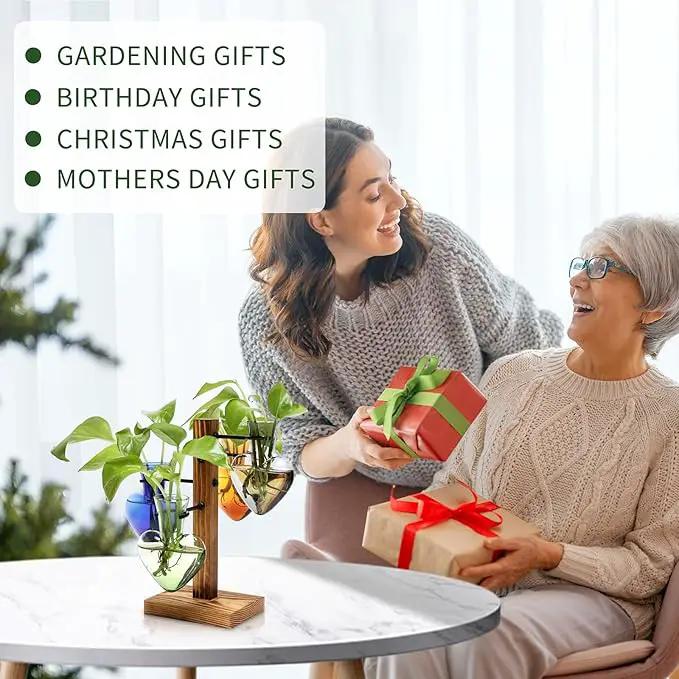 Plants Propagation Stations Plant Terrarium Kit Glass Planters for Indoor Plants House Plant Accessories Gift for Women - 4 Love Bulb Vase by GreenHaven Gardens