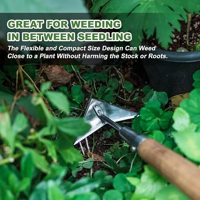 Haliaeetus Triangle Hoe, 60'' Scuffle Hoe for Keeping Your Back from Tiring Out, Weeding Just in Push-Pull Motion, Rogue Hoe with Triangle Head for Quickly Clear Out a lot of Weeds from All Direction by GreenHaven Gardens