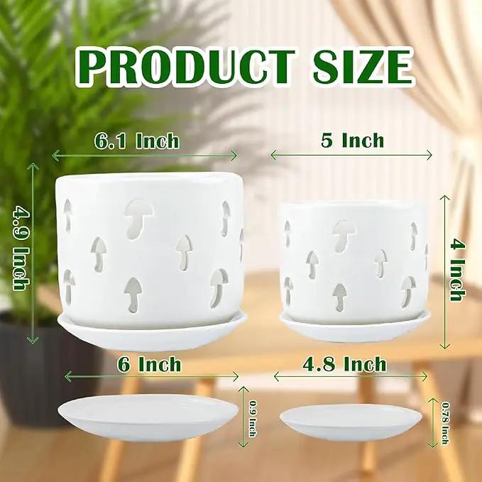 KERUITA Orchid Pots with Holes,5 inch + 6 inch Ceramic Planters Set of 2 with 2 Tray,White Flower Pot with Dancing Mushroom Shaped Vent, Enhanced Drainage and Ventilation by GreenHaven Gardens