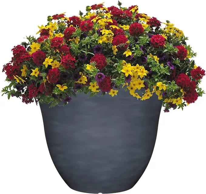 Classic Home and Garden Indoor/Outdoor Round Honeysuckle Resin Flower Pot Planter, Zinc Grey, 13" by GreenHaven Gardens