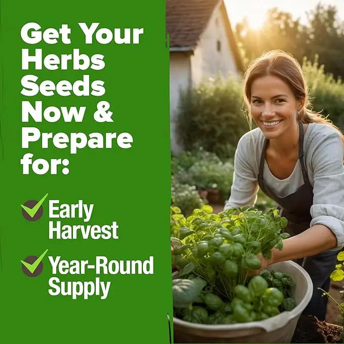 HOME GROWN 5 Herb Seeds for Planting 2,150+ Non-GMO Heirloom Seeds | Extra Large Variety Pack Herb Kit – Indoor Outdoor & Hydroponic | Culinary Seed Set | Grow Your Own Herbs | Gift for Beginners by GreenHaven Gardens