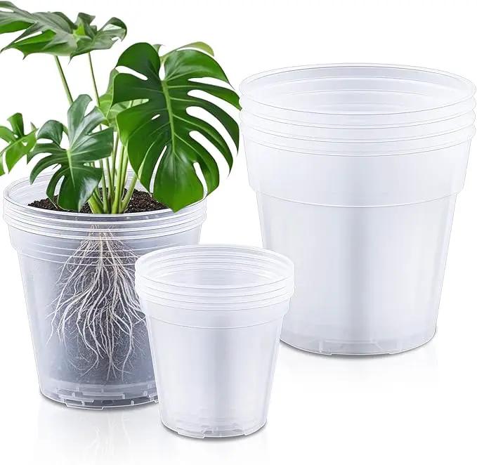 Vesici Large Size Clear Nursery Pots Variety Pack Plant Pots with Drainage Holes Planters for Indoor Plants Flexible Transparent Plastic Plant Bottle Succulents(12 Pcs,6/8/10 Inch) by GreenHaven Gardens