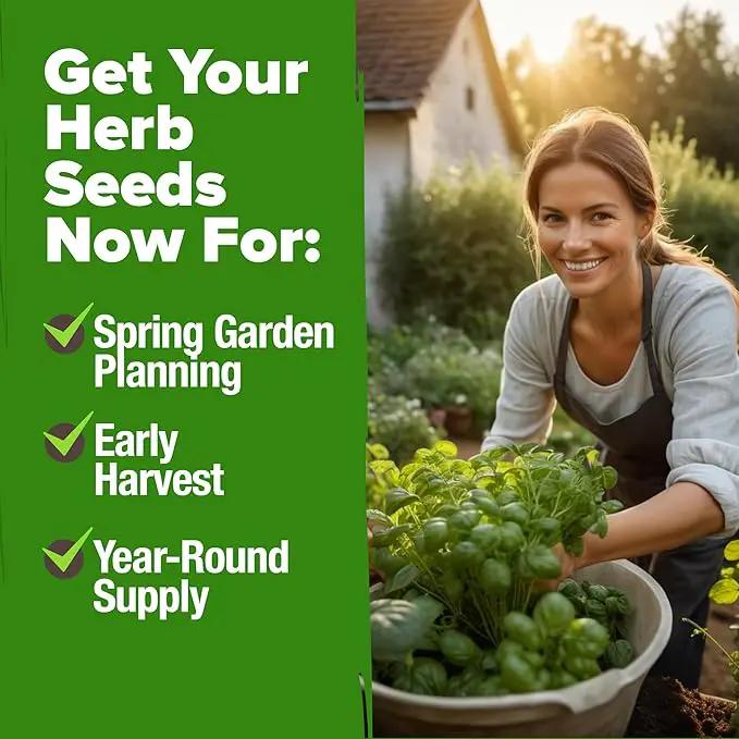 HOME GROWN 15 Herb Seeds for Planting 4,500+ Non-GMO Heirloom Seeds | Extra Large Variety Pack Herb Kit – Indoor Outdoor & Hydroponic | Culinary Seed Set | Grow Your Own Herbs | Gardening Gift by GreenHaven Gardens