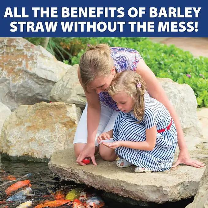 The Pond Guy Barley Extract Natural Liquid Treatment for Ponds and Water Gardens, Safe for Koi Fish and Plants, Natural Solutions for Clear Pond Water - 32 Ounces by GreenHaven Gardens