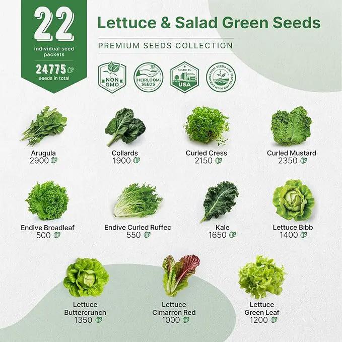 Organo Republic 22 Lettuce & Salad Greens Seeds Variety Pack 24,700+ Non-GMO Heirloom Lettuce Seeds for Indoor & Outdoor Garden, Hydroponics, Aerogarden - Arugula, Kale, Spinach, Swiss Chard, Lettuce by GreenHaven Gardens