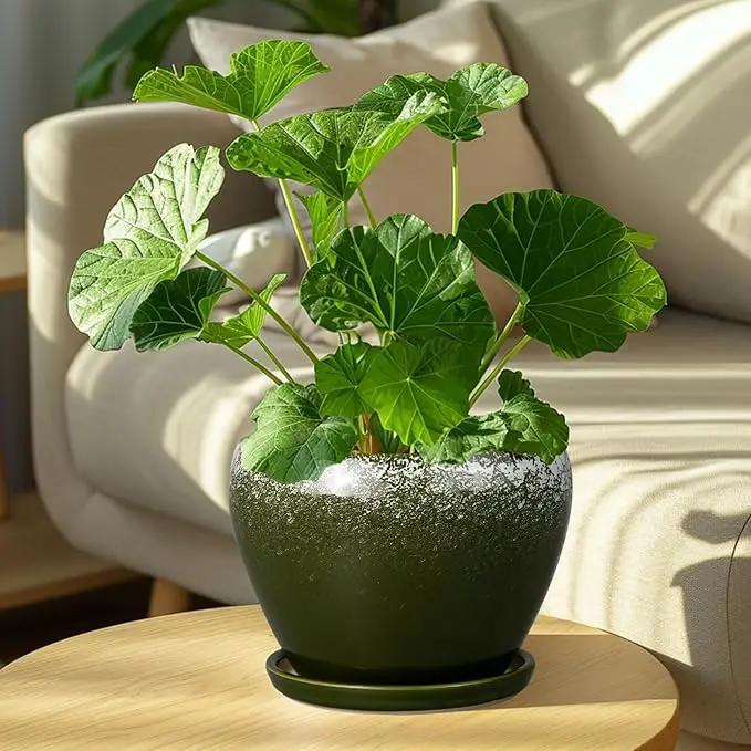 8 Inch Plant Pot - Ceramic Planter with Drainage Hole and Saucer, Modern Flower Pot for Glazed Indoor Plants Outdoor, Dark Green by GreenHaven Gardens
