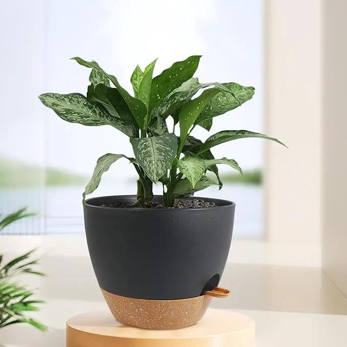 12 inch Large Self Watering Pots, Plant Pots with Mesh Drainage Holes for Indoor Outdoor Plants, Plastic Planters with Deep Reservoir for Garden House Flower Plants, Black with Brown by GreenHaven Gardens