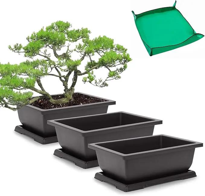 GROWNEER Bonsai Pots 3 Packs 11 Inch Bonsai Training Pot with Humidity Trays and Repotting Mat Tree Starter Kit Growing Planter for Garden Yard Office Indoor Outdoor by GreenHaven Gardens